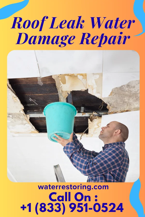 Roof Leak Water Damage Repair in Galatia, IL