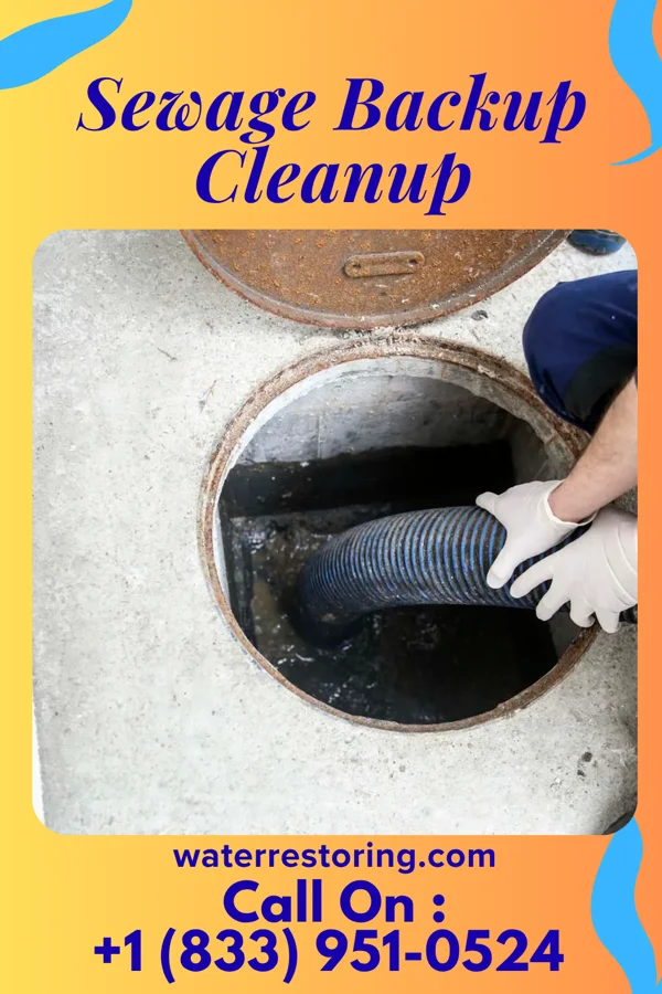 Sewage Backup Cleanup in Galatia, IL