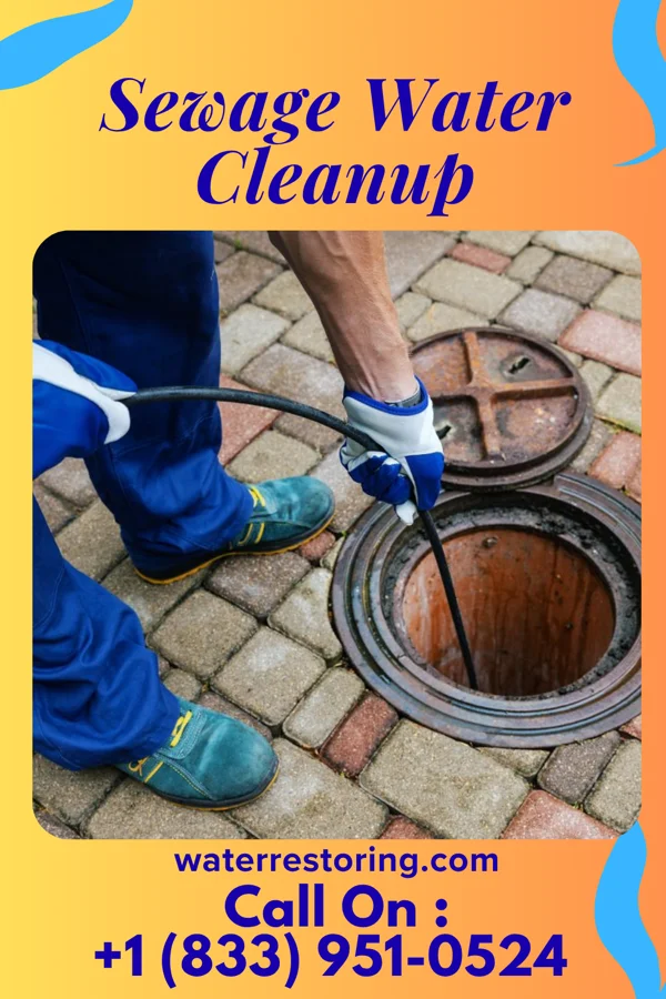 Sewage Water Cleanup in Galatia, IL