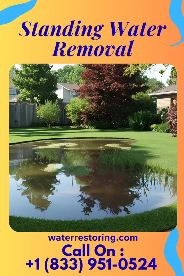 Standing Water Removal in Galatia, IL